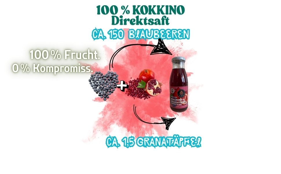 BIO Blaubeer - Granatapfelsaft - 100% Direktsaft 6 × 250 ml • 100 % Frucht, 0 % Zusatz