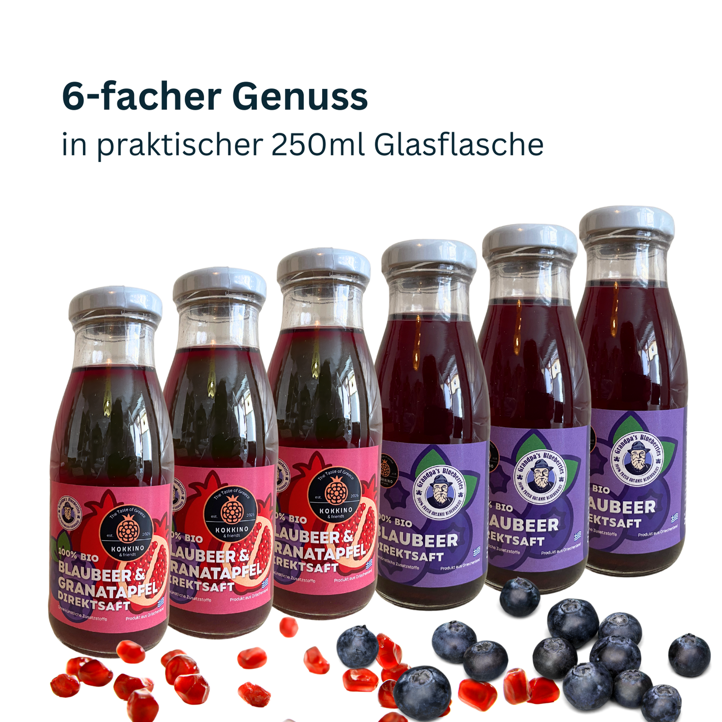 Blaubeer & Blaubeer-Granatapfelsaft Mixpaket – 6 Flaschen voller Antioxidantien