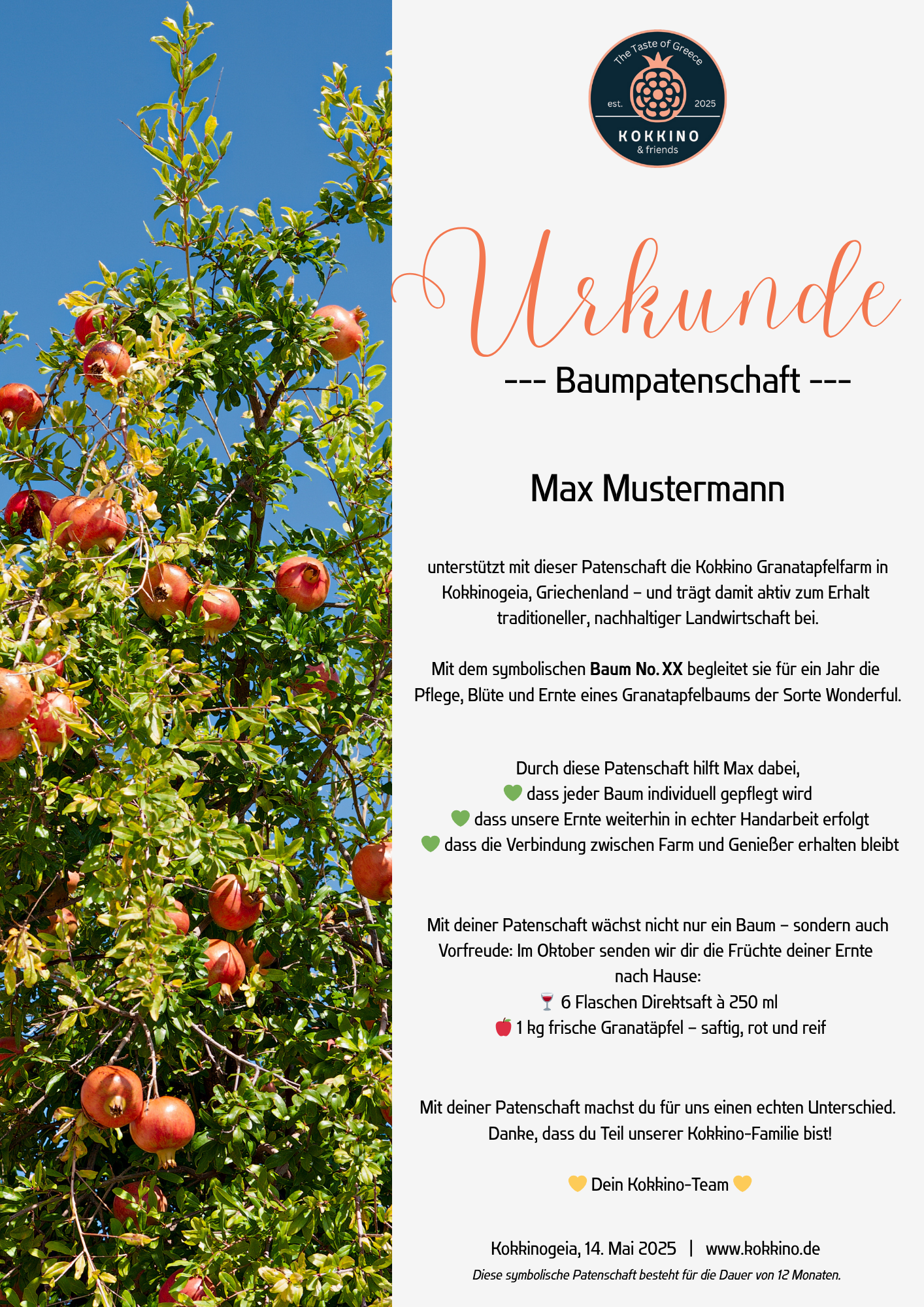 Granatapfelbaum-Patenschaft inkl. Erntepaket M