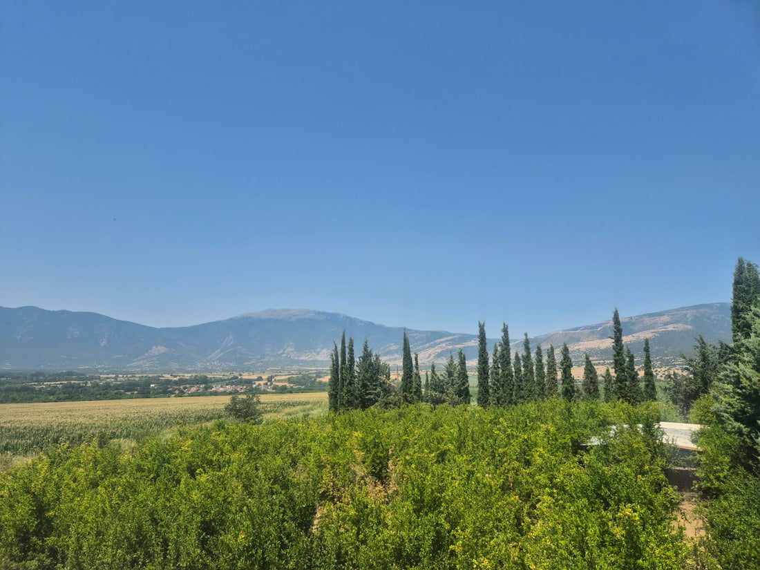 1 Jahr KOKKINO – unser erstes Jahr