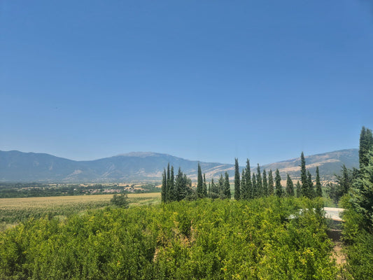 1 Jahr KOKKINO – unser erstes Jahr