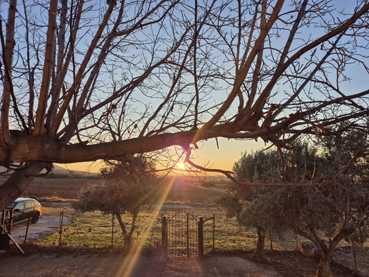 Zwischen Weihnachtsmarkt und Winterruhe