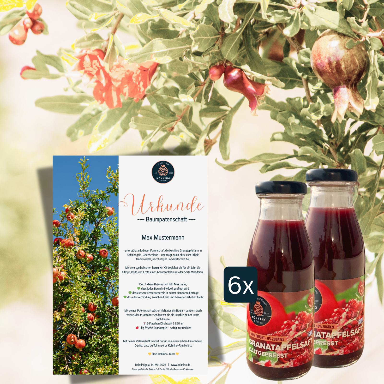 Erntepaket Groeße S für Granatapfelbaumpatenschaft mit Saftpaket