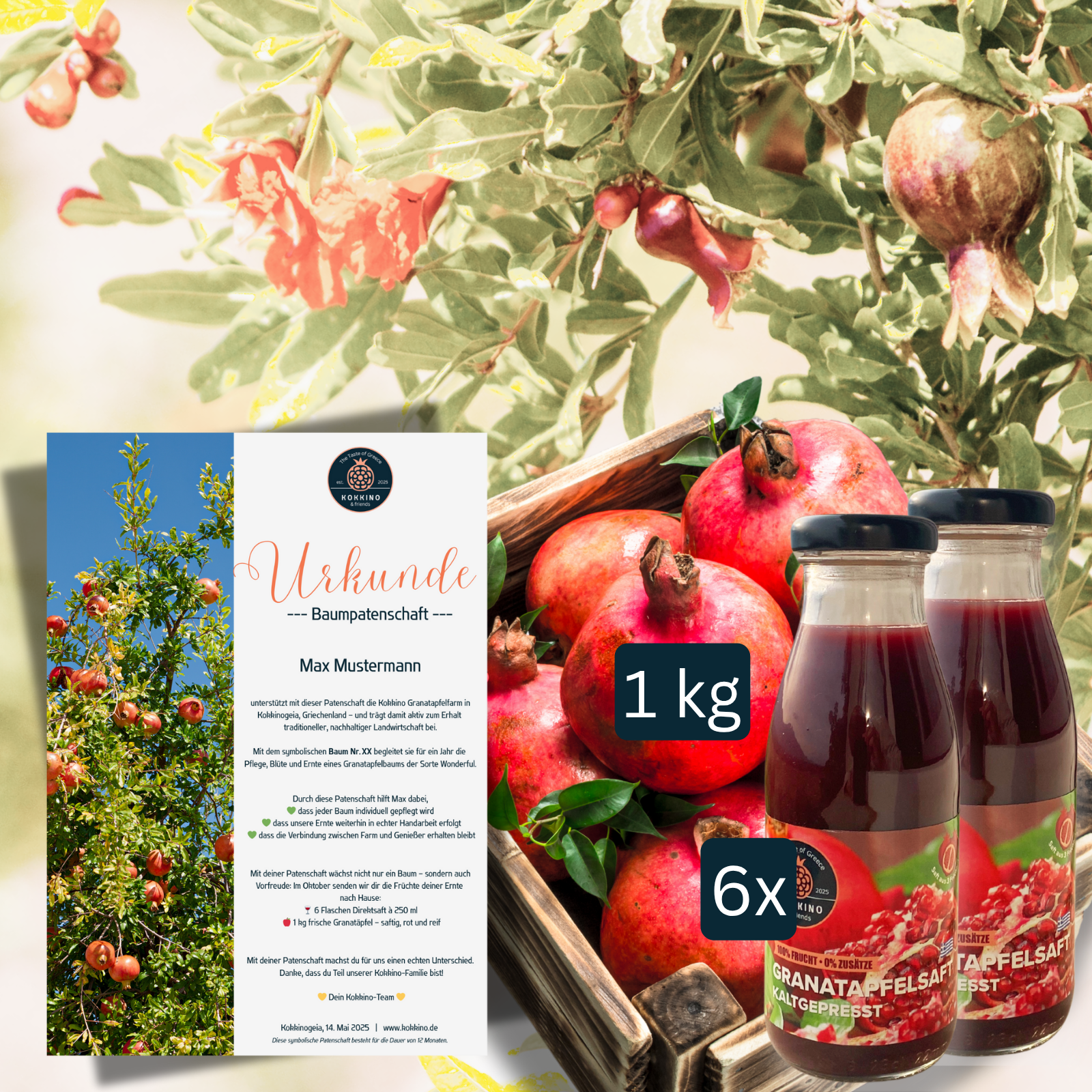 Erntepaket M für Granatapfel-Baumpatenschaft mit Saftpaket und frischen Granatäpfeln