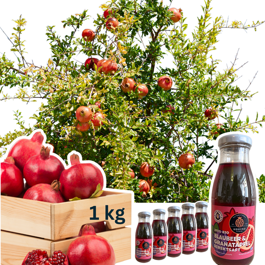 Erntepaket M für Granatapfel-Baumpatenschaft mit Saftpaket und frischen Granatäpfeln