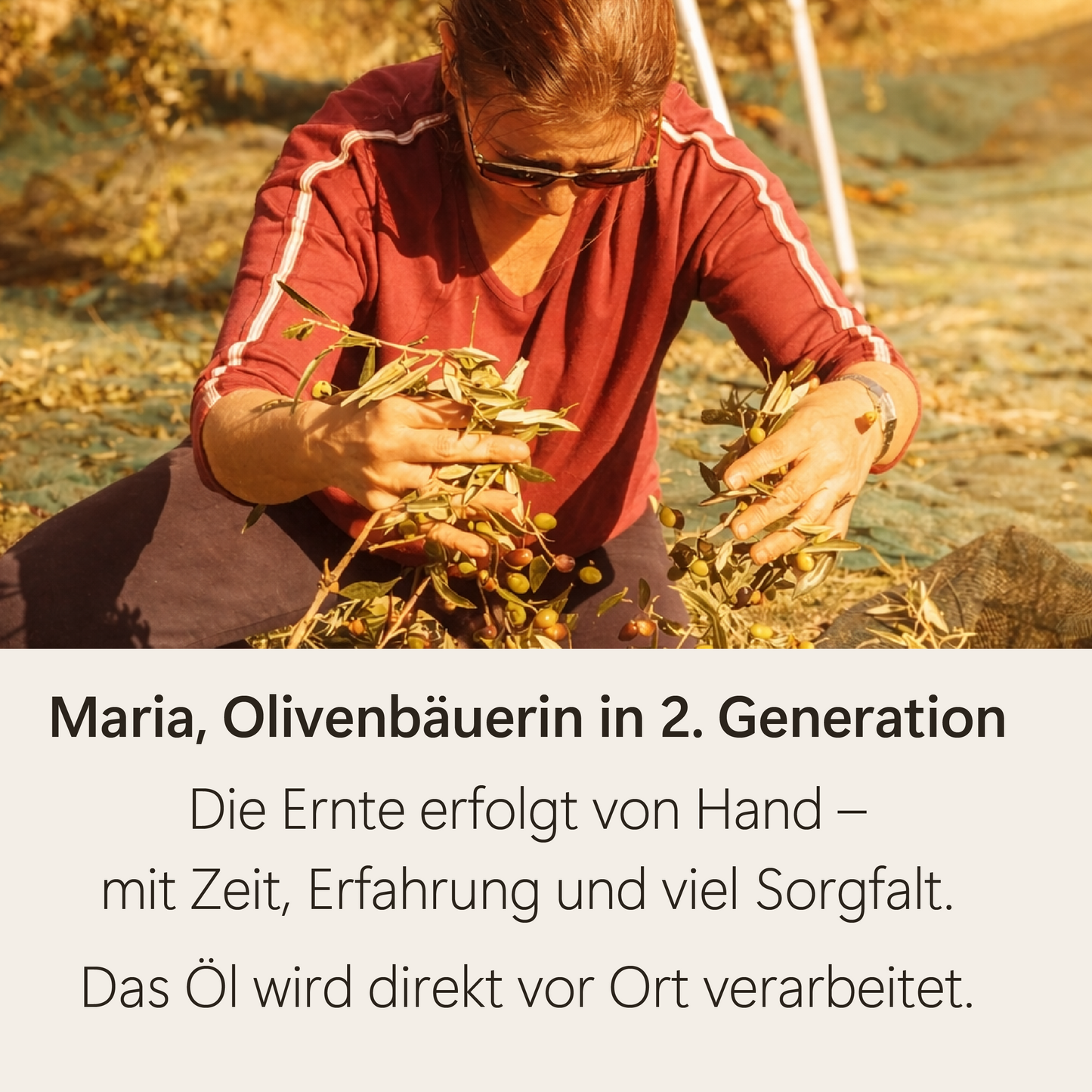 KOKKINO RIZA – Natives Olivenöl Extra aus Kreta