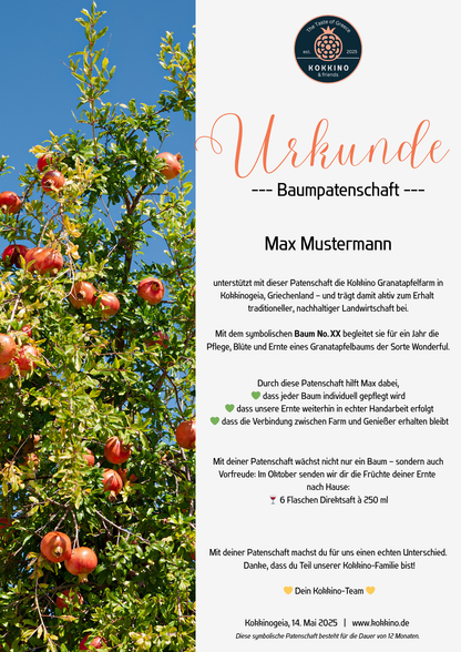 Erntepaket S • Baumpatenschaft & 6er Saftbox – Lieferung im Oktober 2025