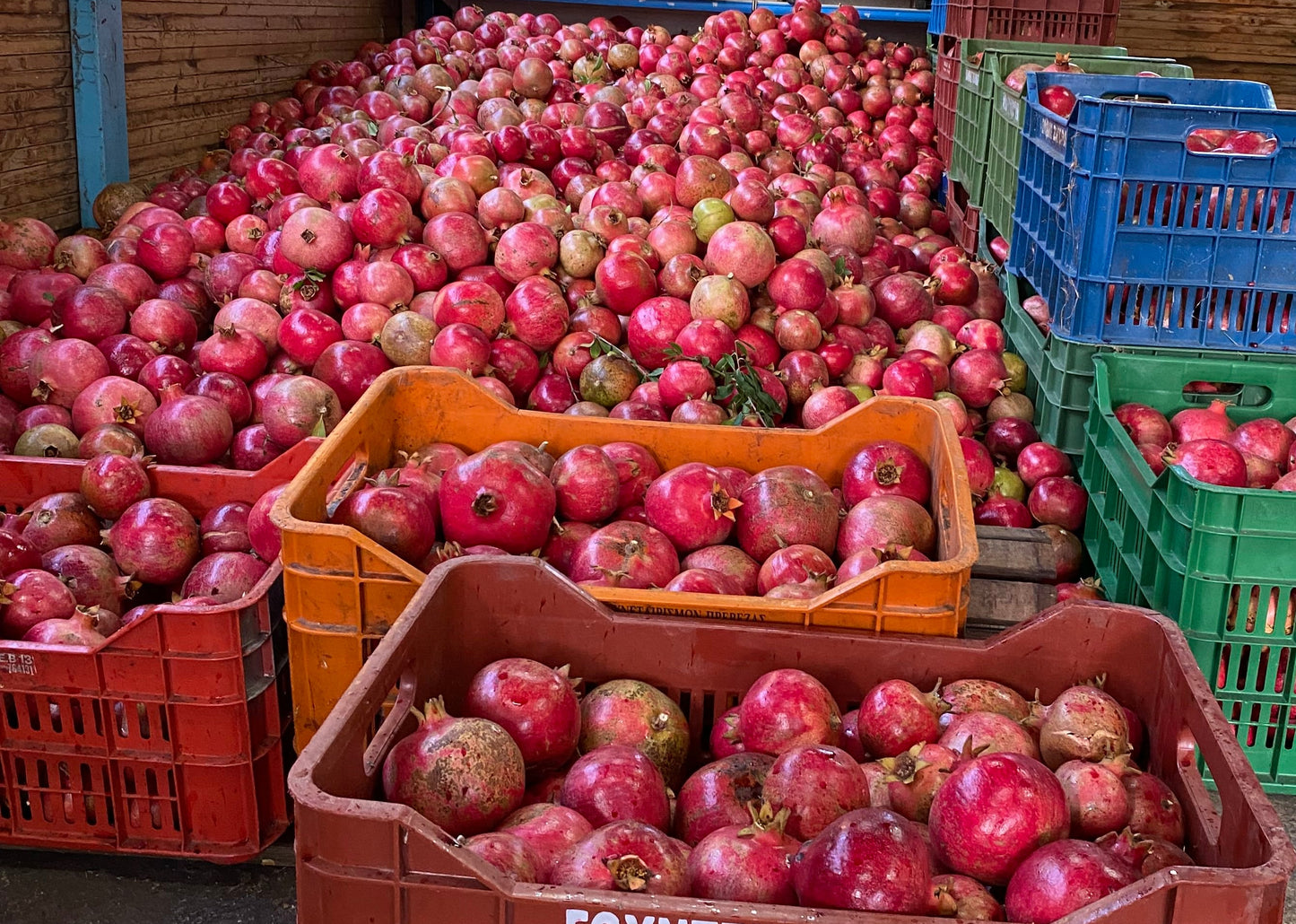 Granatäpfel in Kisten bei der Ernte auf der Kokkino Farm