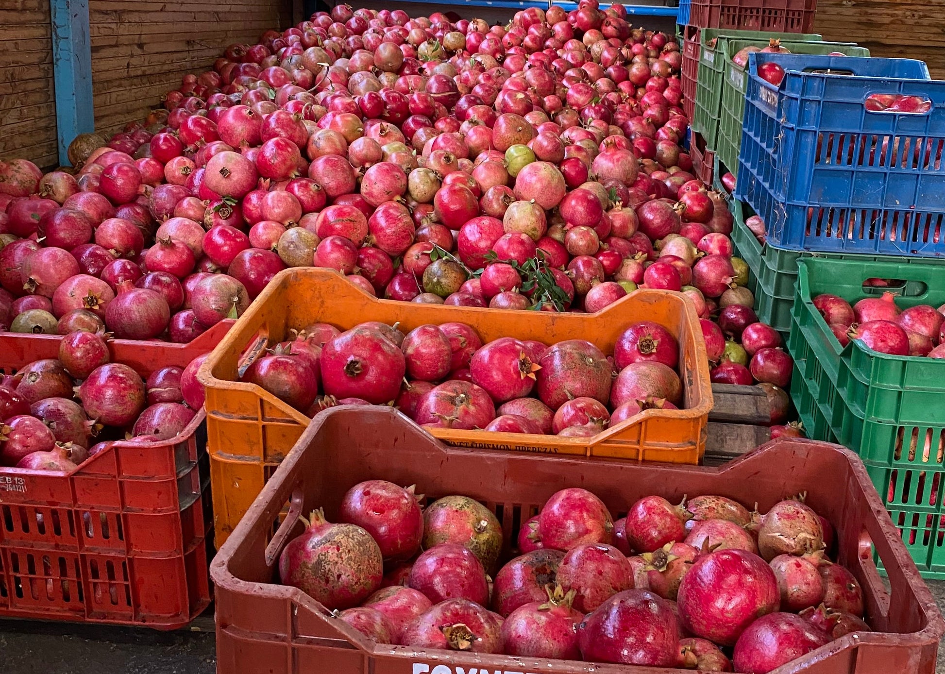 Granatäpfel in Kisten bei der Ernte auf der Kokkino Farm